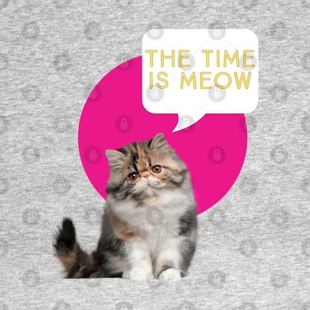 The time is meow by Kamaloca